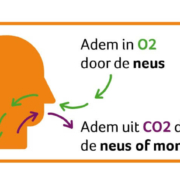 natuurlijk loes - lucht inademen en koolzuurgas uitademen