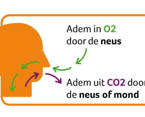 natuurlijk loes - lucht inademen en koolzuurgas uitademen