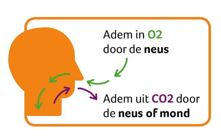 Je LEEFT Zoals Je ADEMT Natuurlijk Loes