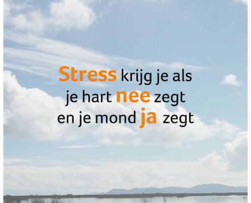 natuurlijk loes - stress als je hart nee zegt en je mond ja