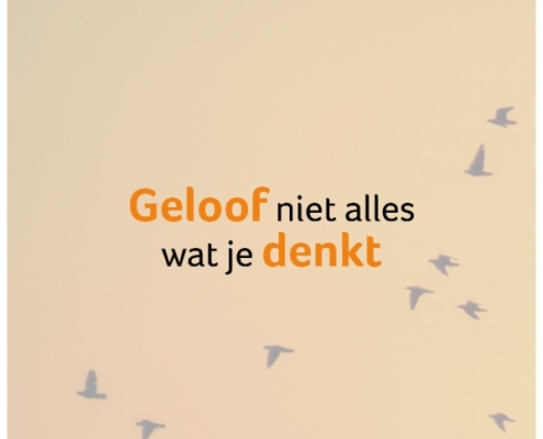 natuurlijk loes - geloof niet alles wat je denkt dat geeft stress