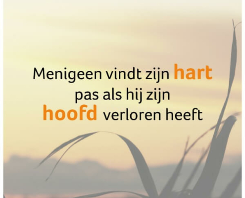 natuurlijk loes - na een burnout kom je in je hart