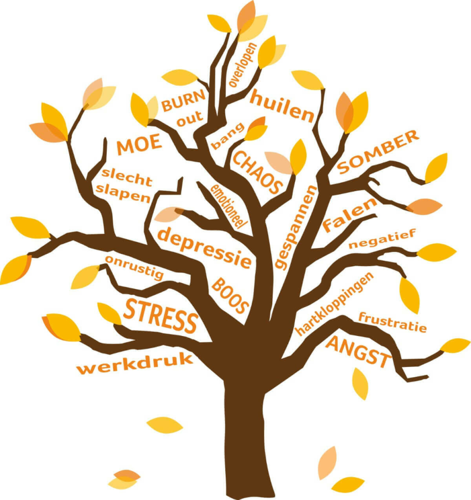 natuurlijk loes - infographic schijndel stress en burnout coaching