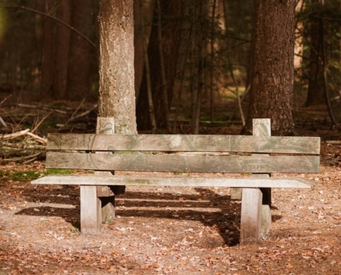 Houten bankje in het bos met herfstbladeren