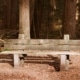 Houten bankje in het bos met herfstbladeren